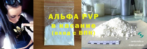 PSILOCYBIN Апатиты