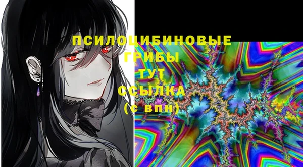 a pvp Анива
