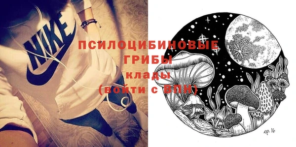 PSILOCYBIN Апатиты