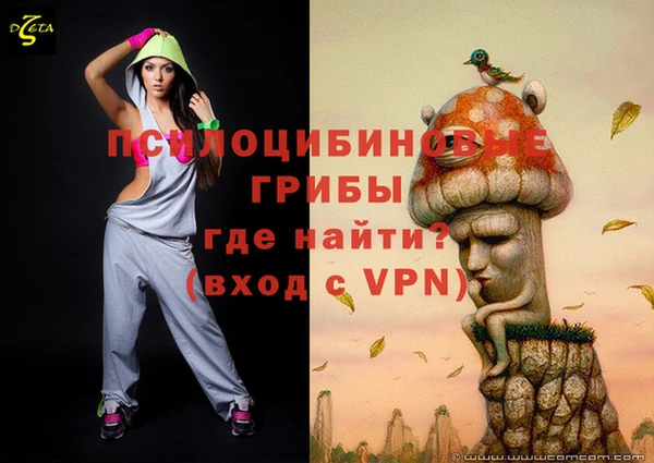 PSILOCYBIN Апатиты