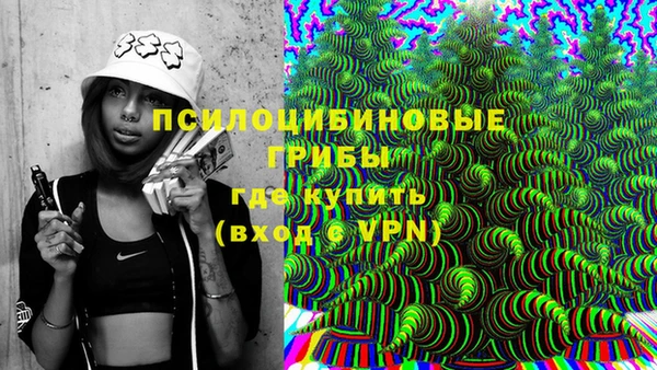 PSILOCYBIN Апатиты